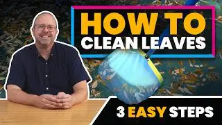 How to Clean Leaves Out of Your Pool (And Keep Them Out)