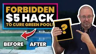 The $5 “Forbidden” Grocery Aisle Hack That Cures Green Pools FOREVER