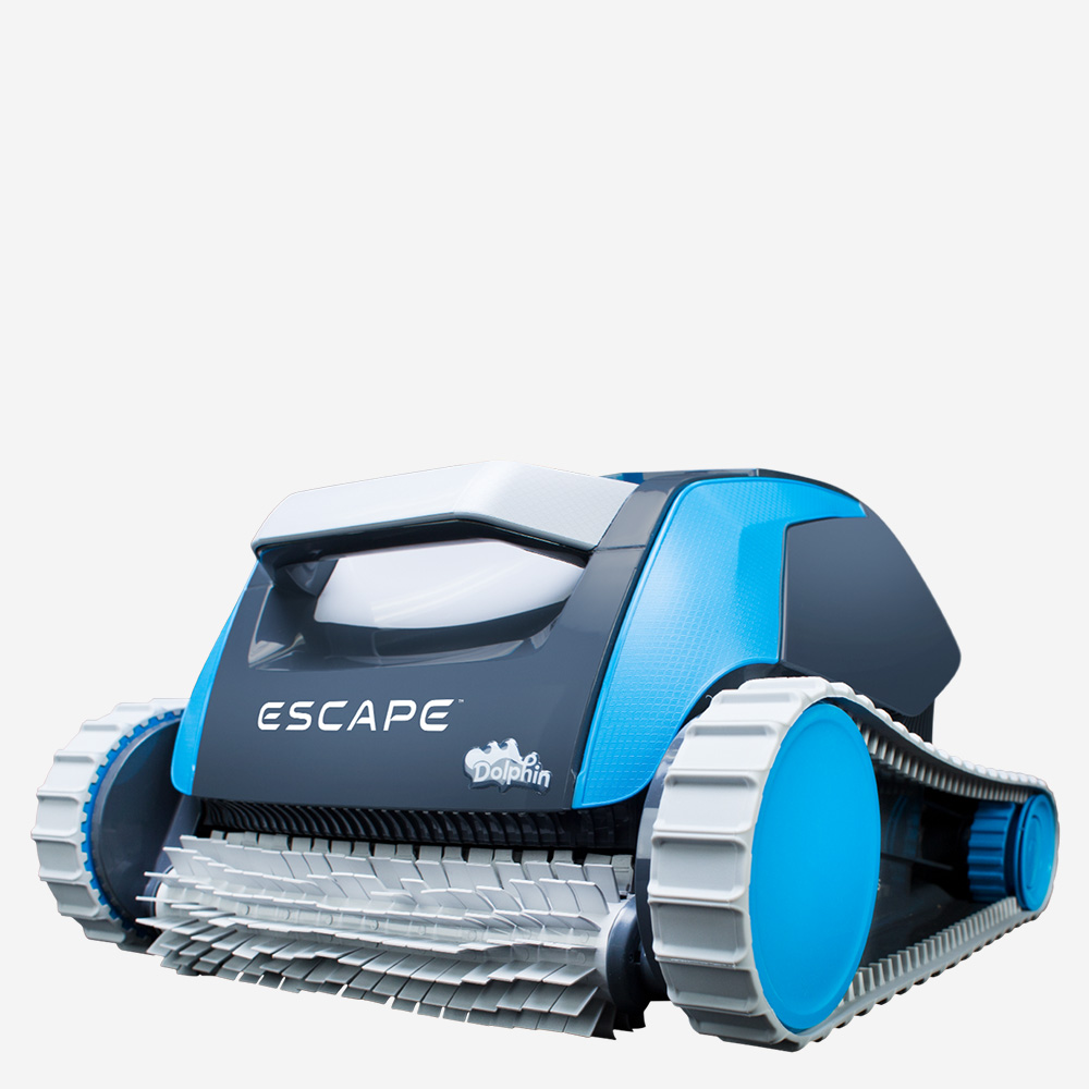 Dolphin Escape