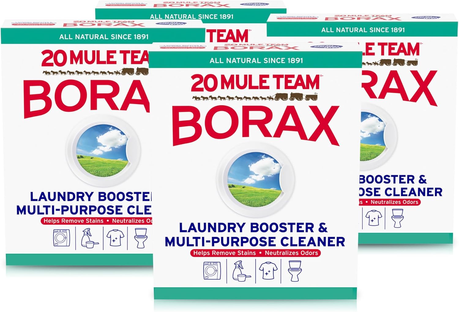 20 Mule Team Borax