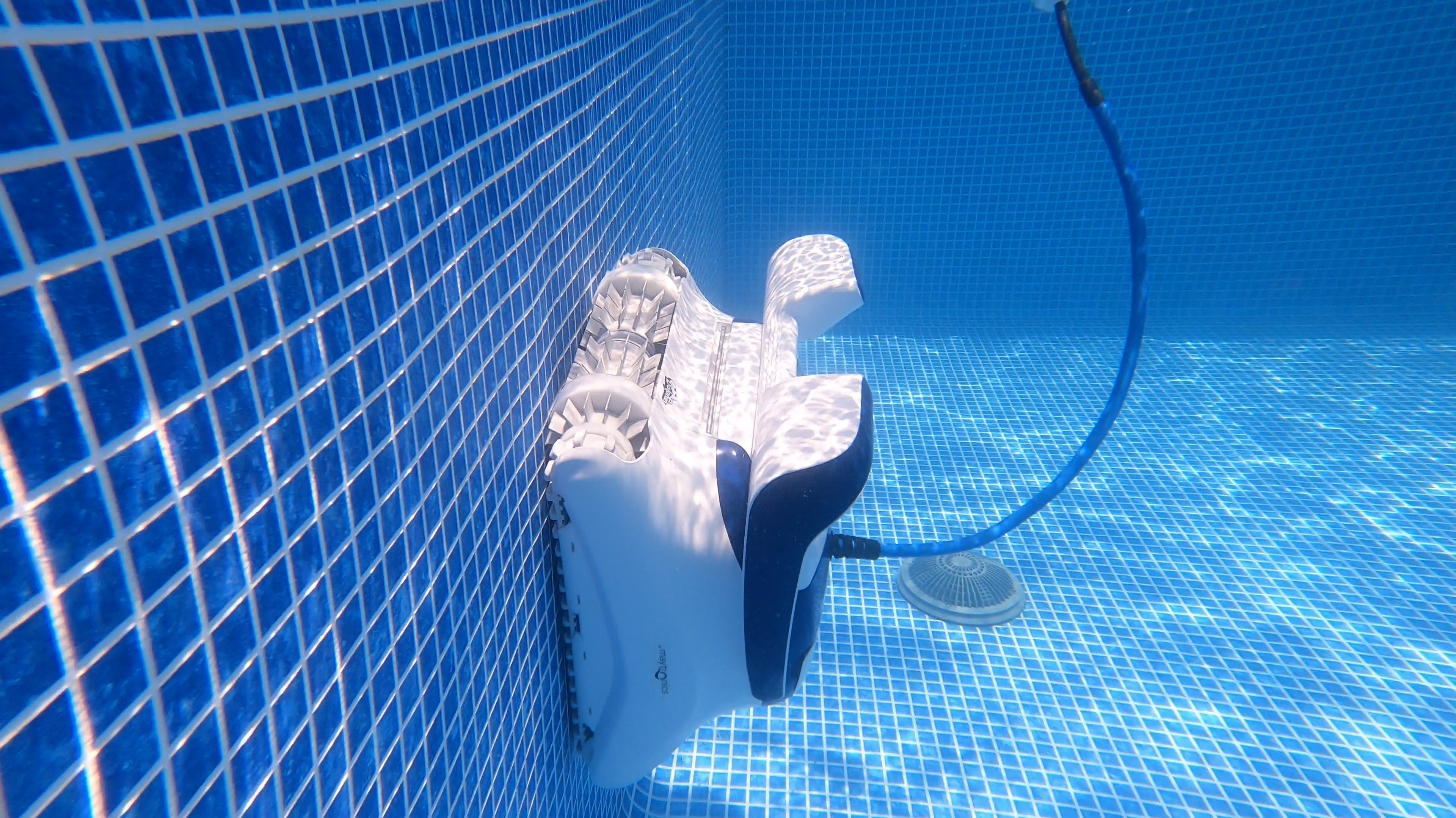 Compare Dolphin Robotic Pool Cleaners